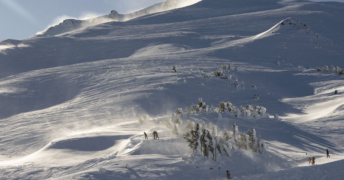 Revenge of the Ski Bums The Seattle Times