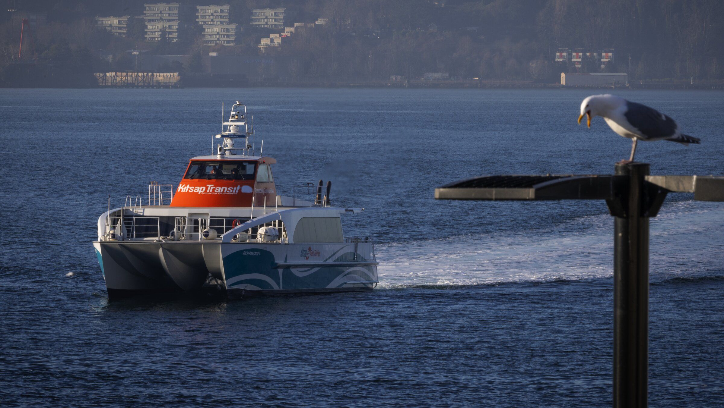 WA sees bump in ferry riders with help from county-run boats | The