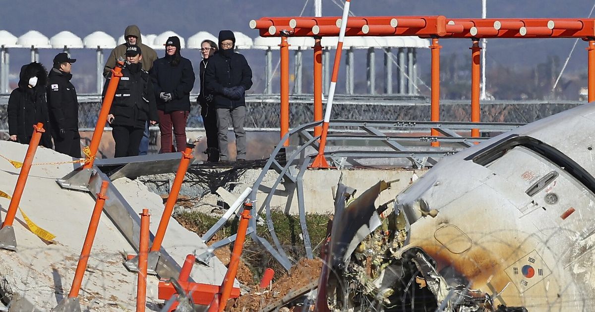 South Korean plane crash report says bird remains were found in engines, but no cause yet revealed