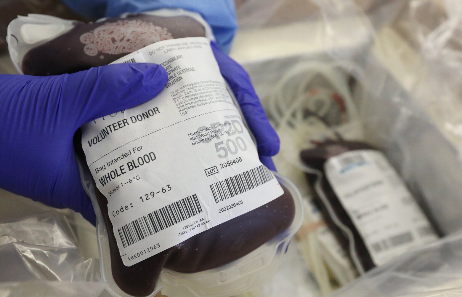 01292025_Blood-