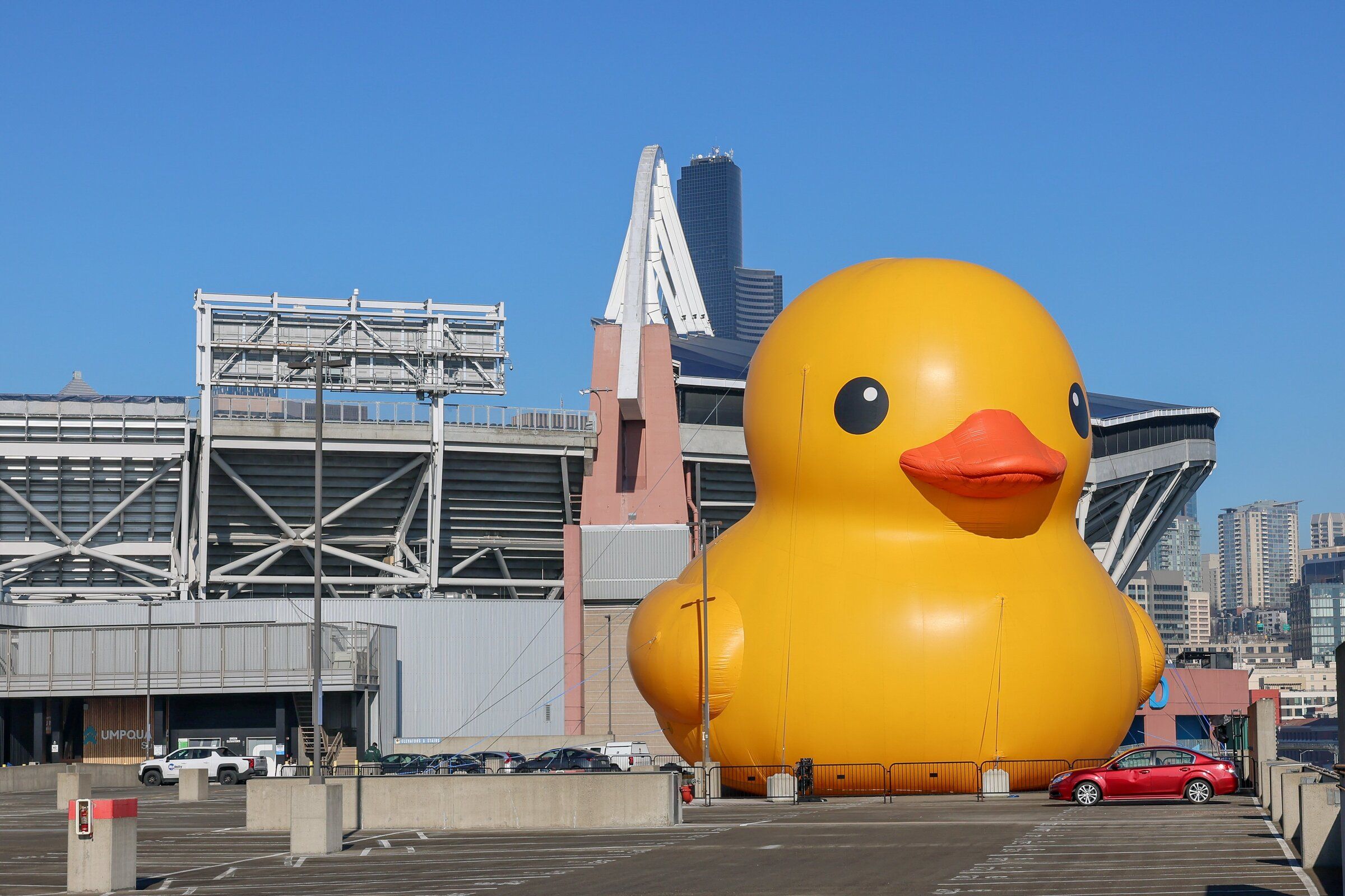 Giant rubber duck appears by Lumen Field for Seattle Boat Show