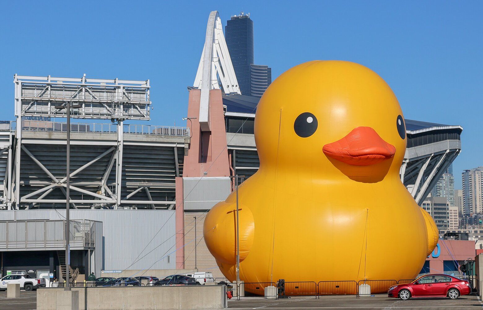 Schylling Big Rubber Duck Large ラバーダック Rubber Duck Large