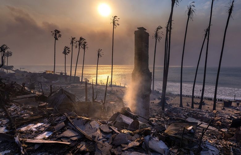 Beachfront homes are devastated by the Palisades fire on Wednesday, Jan. 8, 2025, in Malibu, California. (Brian van der Brug/Los Angeles Times/TNS) 133592126W 133592126W