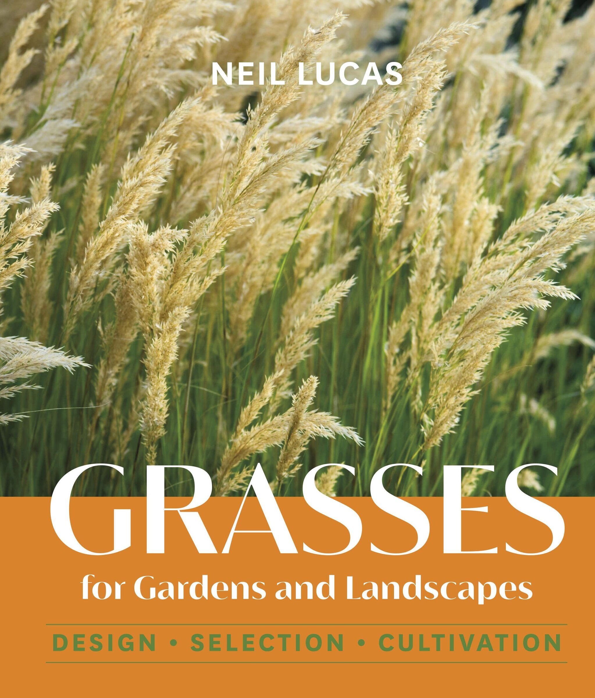 A guide to the verdant perks of gardening with ornamental grasses