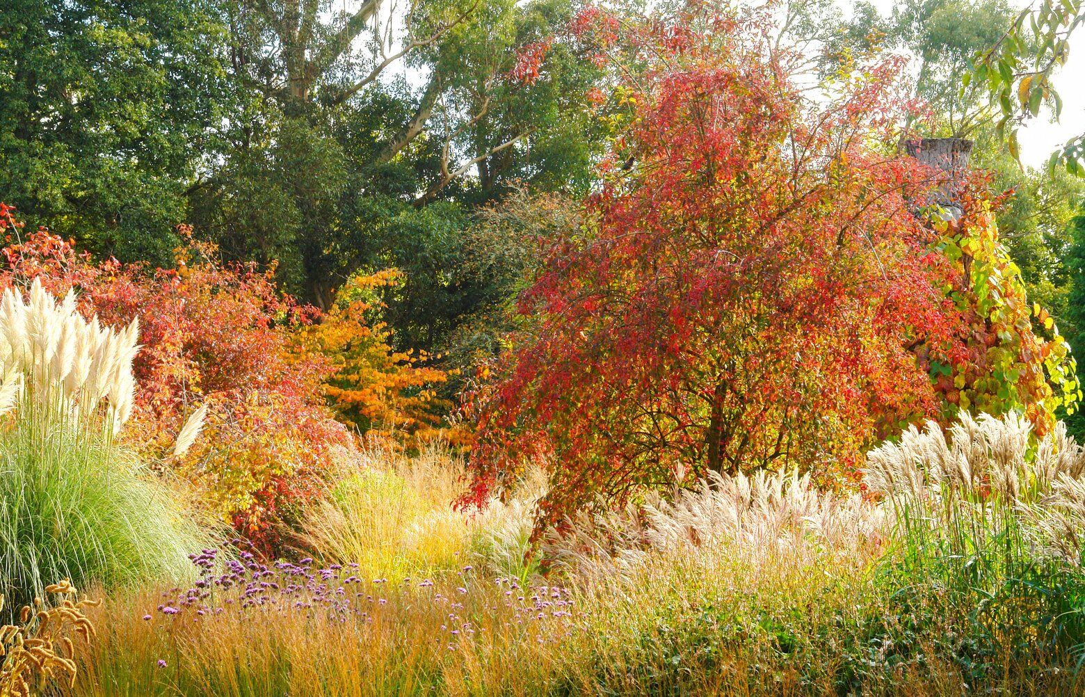 12042024_TZR_Grasses_for_Garde