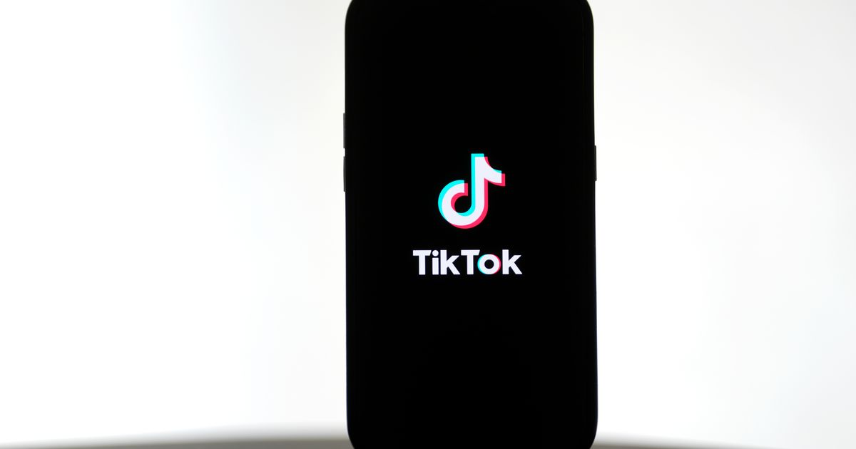 The rise — and potential fall — of TikTok in the US