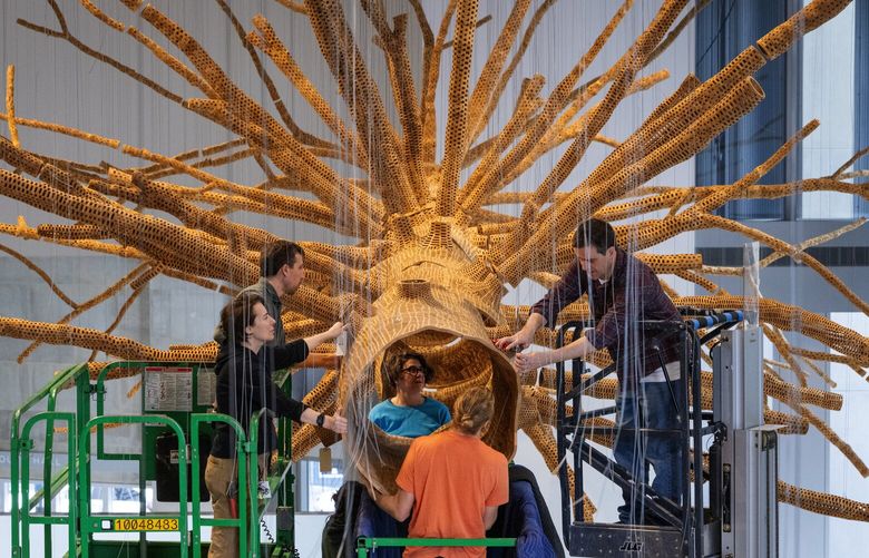 A large piece of “Middle Fork,” at center foreground, is taken down from the Seattle Art Museum lobby by two teams, one from the museum and one brought in by the work’s artist John Grade, Monday, Feb. 3, 2025, in Seattle. Clockwise from left, Jenia Hryhorieva, Michael Milano, Andrea Ramsay (at center inside sculpture), Andrew Malcolm and Sam Kuniholm (back to camera).