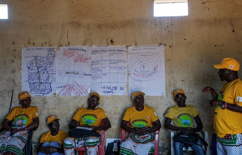 Community health workers in Mozambique, funded in part by USAID’s President’s Malaria Initiative, help educate the village of Chivanda about preventing the disease. (MUST CREDIT: Jahi Chikwendiu/The Washington Post)