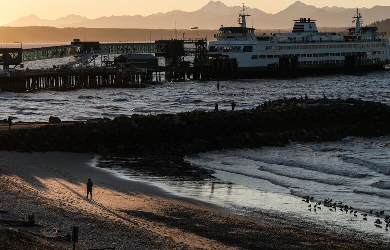 The late day sun illuminates Brackett’s Landing in Edmonds, and the ferry terminal. 229125