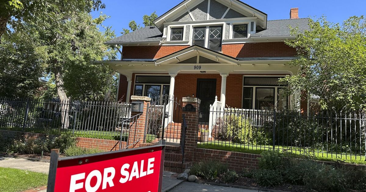 January dwelling gross sales fall as excessive mortgage charges, costs freeze out would-be patrons