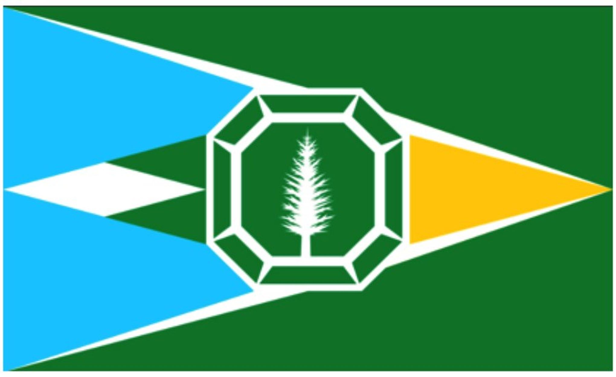 Washington State Flag