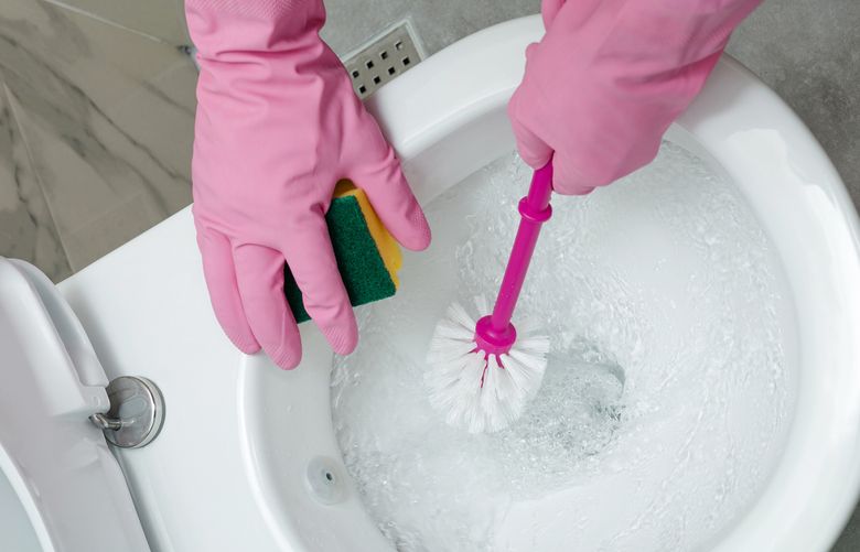 Black stains above the water line, or on the exterior, seat or lid, are often mildew, an organic stain. (Getty Images)