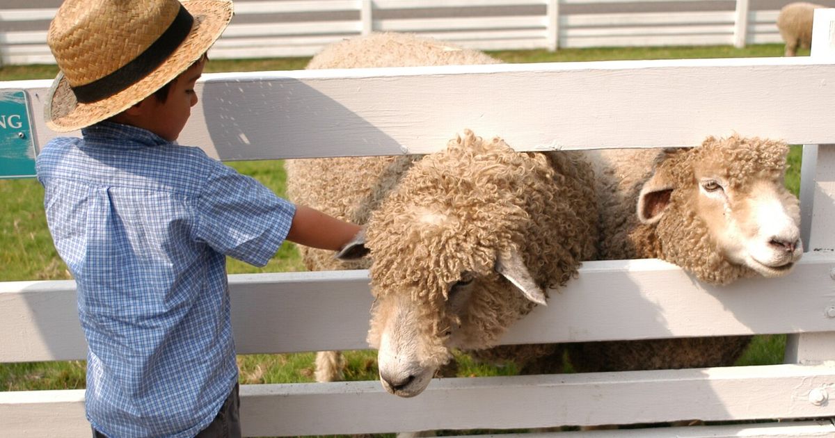 7 free Seattle-area attractions to do spring break on a shoestring ...