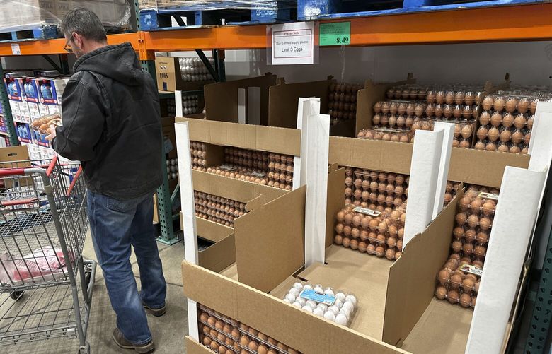 A consumer places a flat of eggs in a shopping cart in a Costco warehouse Tuesday, Feb. 18, 2025, in Sheridan, Colo. (AP Photo/David Zalubowski) OTKDZ106 OTKDZ106
