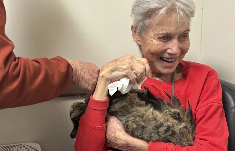 In this image provided by Carolyn Kiefer her mother, Katherine Kiefer, 82, is reunited with her cat Aggie at VCA Chatoak Animal Hospital after the Palisades Fire destroyed her home and the cat was missing, Saturday, March 8, 2025, in Los Angeles. (Carolyn Kiefer via AP) NYPH301M NYPH301M