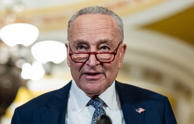 Senate Majority Leader Chuck Schumer (D-N.Y.) speaks with reporters at the Capitol in Washington, on Tuesday, March 4, 2025. President Donald Trump will deliver an address to a joint session of Congress on Tuesday night. (Eric Lee/The New York Times) XNYT0658 XNYT0658
