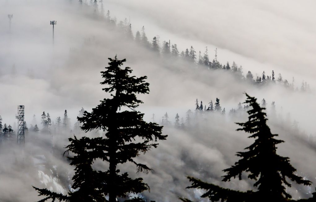 03152025_snoqualmiepass-march-2025-tzr_t