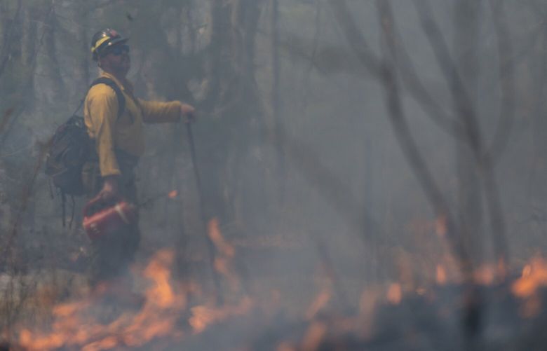 A firefighter lights a protective backburn fire to control the Black Cove Fire Wednesday, March 26, 2025, in Saluda, N.C. (AP Photo/Allison Joyce) NCAJ322 NCAJ322