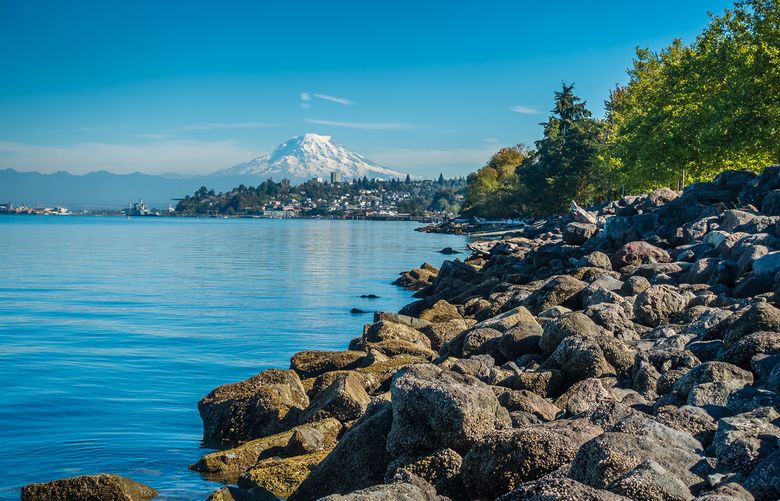 A view of Mount Rainier from a rocky beach on Point Ruston.