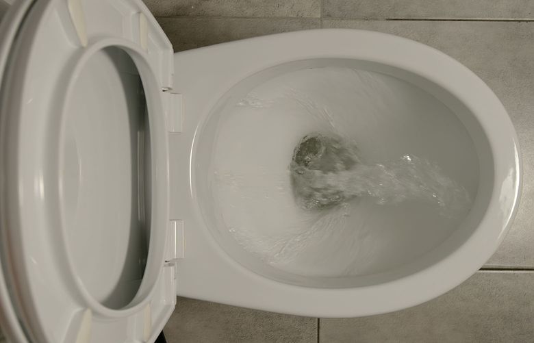 If you have a low-flow toilet that wasn’t designed well, replacement really is the best option, maybe the only one. (Getty Images)