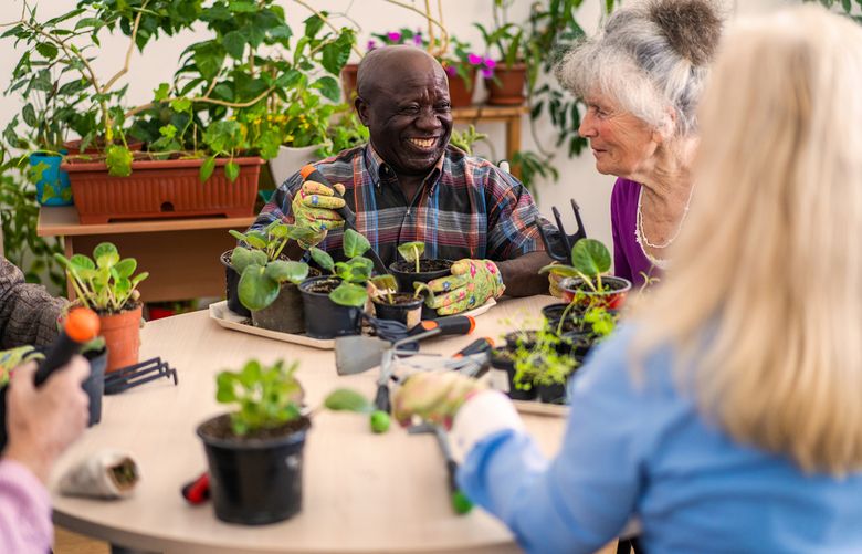Gardening, whether done with indoor potted plants or outdoors, is excellent for motor skill improvement and cognitive health. (Getty Images)