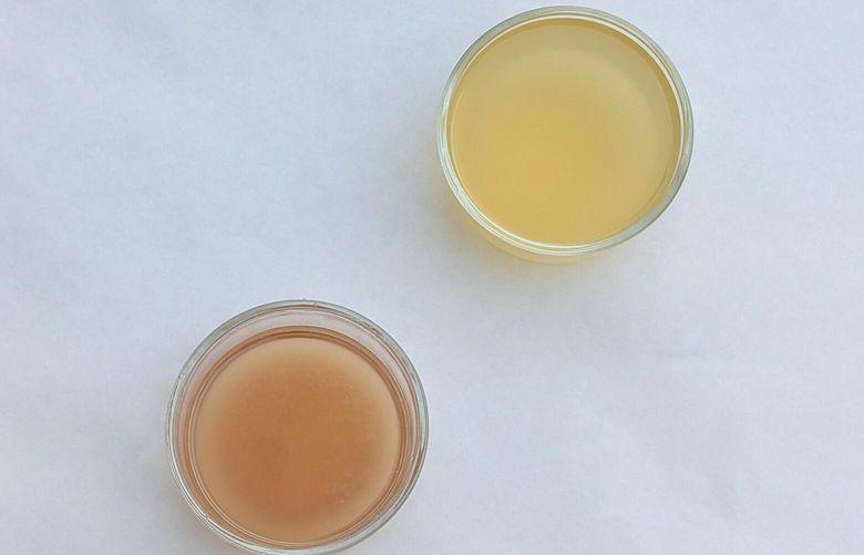 Pinto bean aquafaba (left) and Great Northern bean aquafaba (right) have different colors but their flavors are similar.