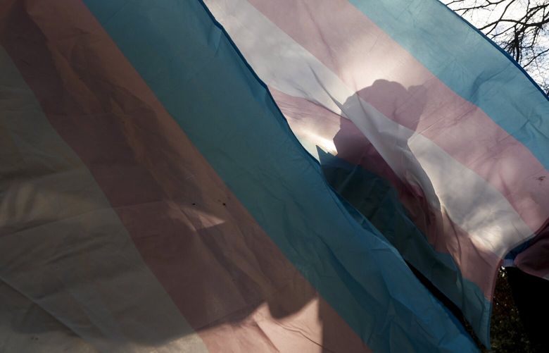 FILE – A protester is silhouetted against a trans pride flag during a pro-transgender rights protest outside of Seattle Children’s Hospital, Feb. 9, 2025, in Seattle. (AP Photo/Lindsey Wasson, file) NYPS207 NYPS207