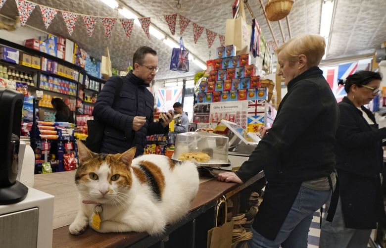Grace sits on the counter at Myers of Keswick, as owner Irene Connelly, second from right, helps a customer in New York, Thursday, March 13, 2025. (AP Photo/Richard Drew) NYRD409 NYRD409