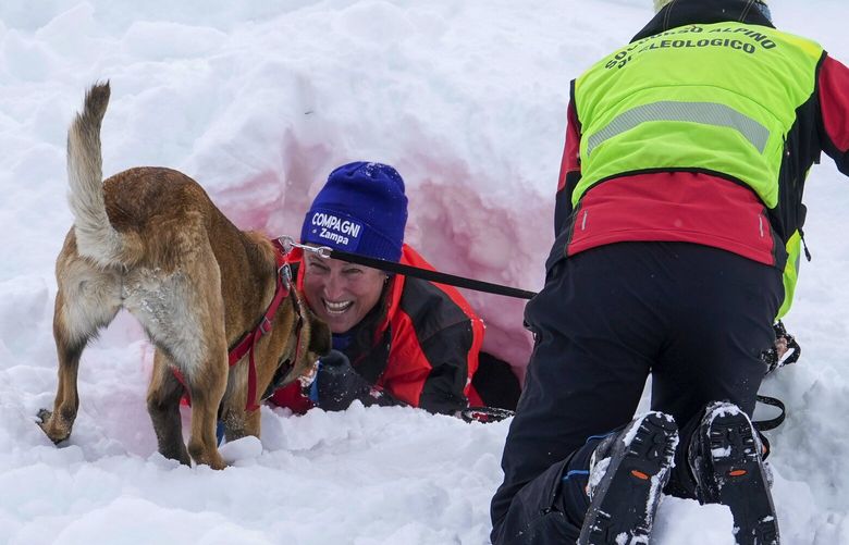 Avalanche dog Brina is praised by her trainer Silvia Anselmetto during a training session with the Italian National Alpine and Speleological Rescue Corps in Col Gallina, near Cortina D’Ampezzo, northern Italy, Tuesday, March 25, 2025. (AP Photo/Luca Bruno) XDS113 XDS113