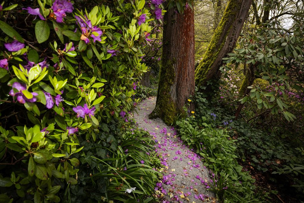 Streissguth Gardens photo