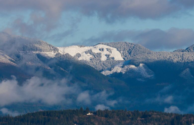 Below snow-capped mountains, swans gather in the Skagit Valley’s farmland Monday, Dec. 9. 2024.