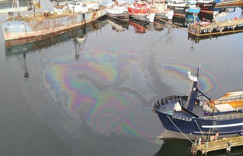 USCG crews are on-scene responding to a diesel spill in Salmon Bay in Seattle, Wash., on Thursday, April 10, 2025. USCG is working alongside WA Ecology partners to mitigate the effects of the pollution and find the source.