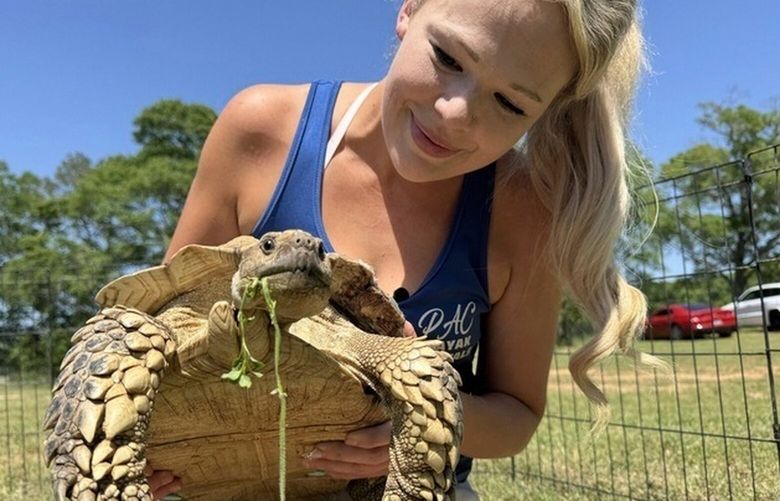 Tiffany Emanuel holds her pet tortoise, Myrtle, in Kokomo, Miss., on Thursday, April 15, 2025. (AP Photo/Sophie Bates) MSSB501 MSSB501