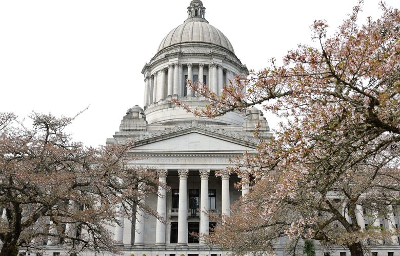 Yoshino flowering cherry trees, a little past peak, seen outside the legislative building at the state Capitol in Olympia on Wednesday, April 9, 2025.
