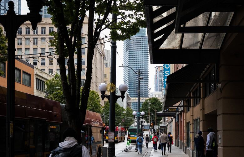 Vance Building, and the adjacent Sterling Building, could become apartment complexes on Union Street in Seattle on Aug. 20, 2024. 227834