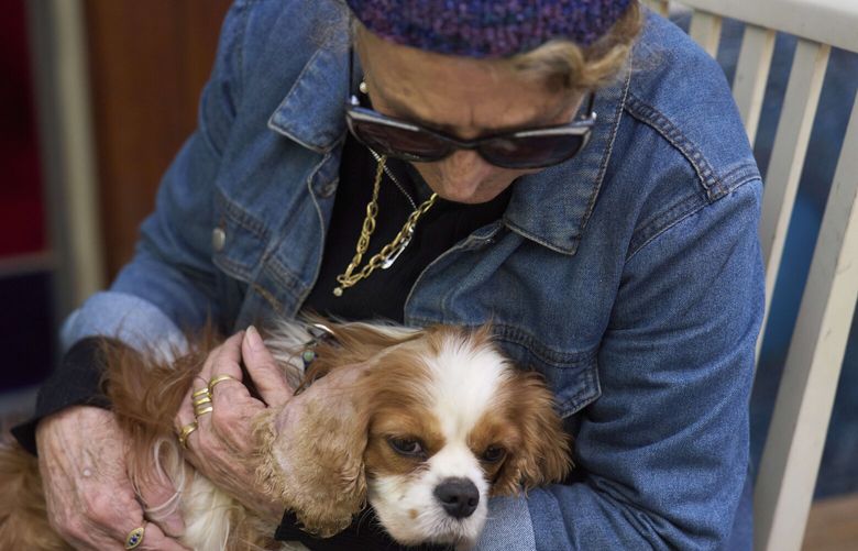 Rachel Dancyg holds her dog, Billie, on Wednesday, April 16, 2025. Israeli soldiers found Billie in the Gaza Strip, 18 months after she disappeared during Hamas’ attack on Dancyg’s Kibbutz of Nir Oz, in Binyamina, Israel. (AP Photo/Ariel Schalit) ASC104 ASC104