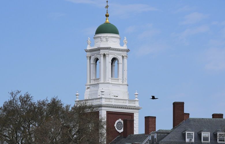 A bird flies past the bell tower of Eliot House at Harvard University, Tuesday, April 15, 2025, in Cambridge, Mass. (AP Photo/Charles Krupa)