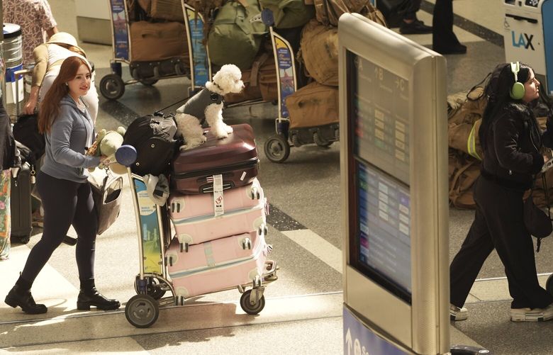 Travelers push luggage at Los Angeles International Airport in Los Angeles, Monday, April 14, 2025. (AP PhotoDamian Dovarganes) CAJC118 CAJC118
