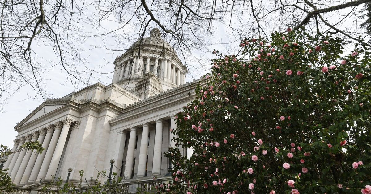 WA Democrats again off wealth tax whereas pushing  billion tax improve