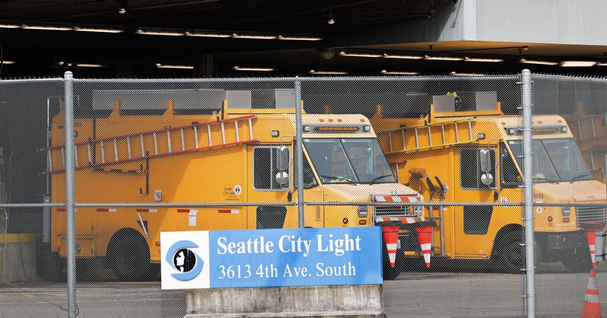 Seattle council demands action following damning City Light inquiry