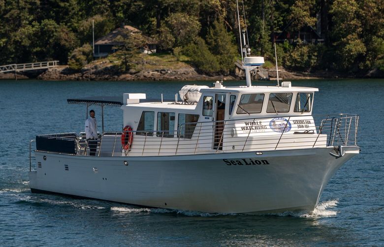 The whale-watching vessel Sea Lion, which operates this spring as an experimental San Juan County passenger ferry, enters Friday Harbor on Tuesday April 22, 2025. (Photo courtesy of San Juan Safaris)