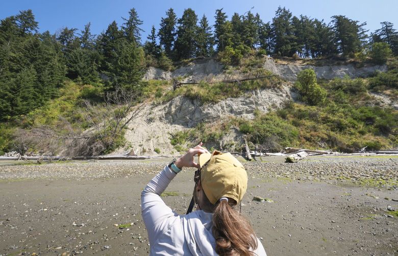 Keeley Chiasson, who is a coastal geomorphologist grad student and geologist in training, makes observations of a bluff while surveying coastal erosion along the Sound coast near the Tulalip reservation in Marysville on Wednesday, August 7, 2024.