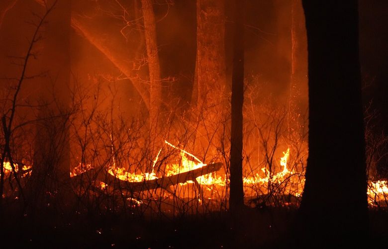 A fire burns on Tuesday, April 22, 2025, near Waretown, N.J. (AP Photo/Chris Szagola) NJAB205 NJAB205
