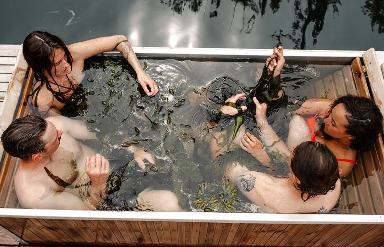 Moon Jelly Spa is open to singles, couples and groups.