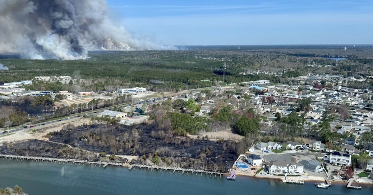 Man charged with arson after authorities say he sparked New Jersey Pine ...