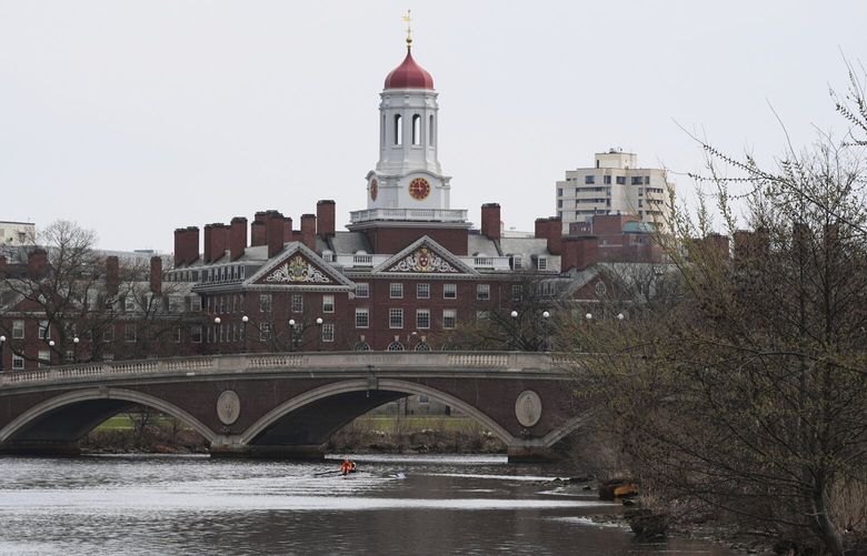 A Canada goose floats on the Charles River near Harvard University, at rear. Tuesday, April 15, 2025, in Cambridge, Mass. (AP Photo/Charles Krupa)