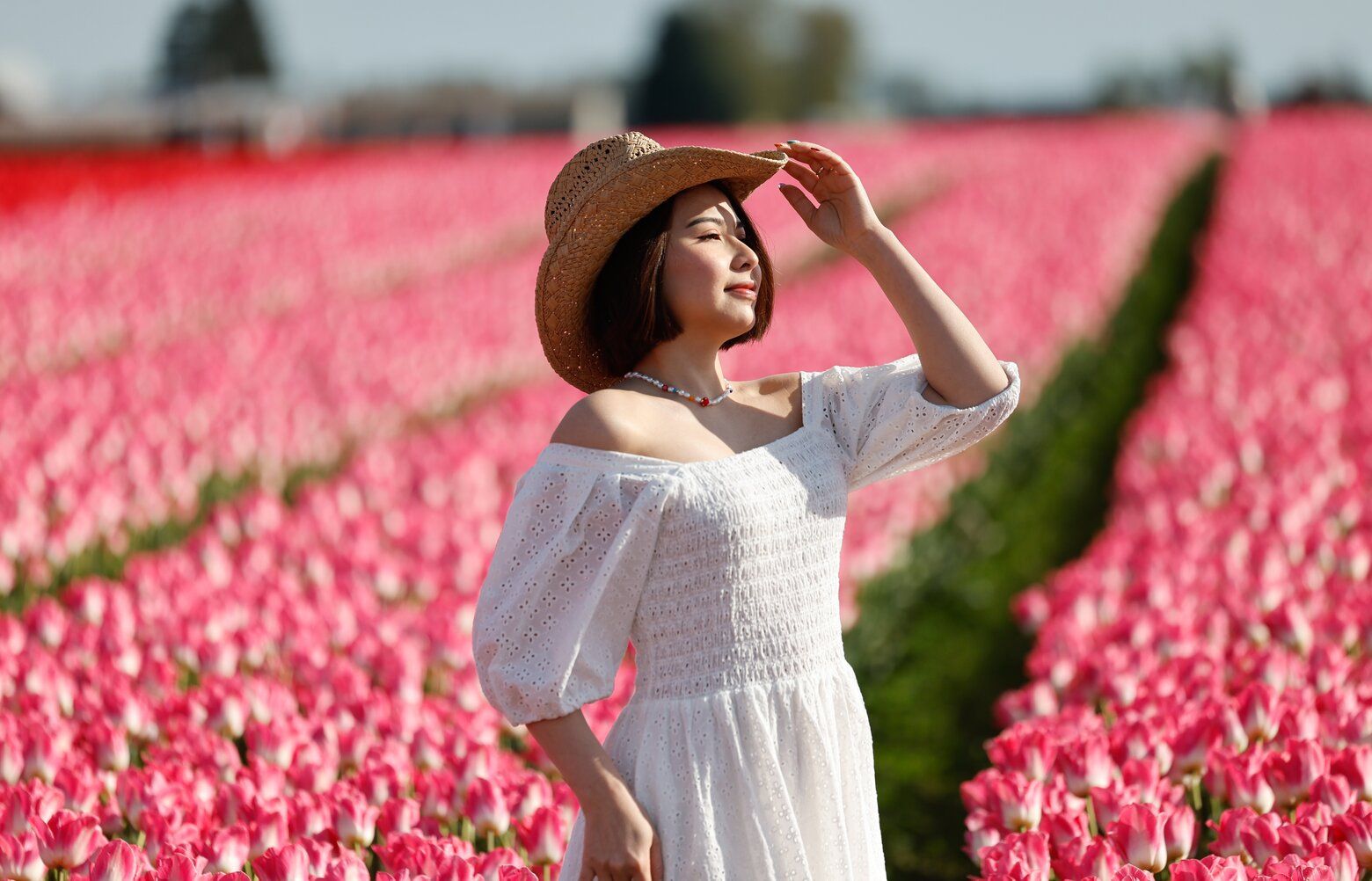 04302025_tulips43025-