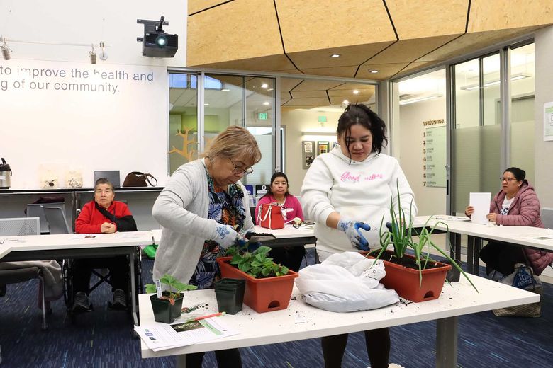 Verdant Health Commission is partnering with Snohomish Conservation District to pilot Harvest at Home — a free program to increase access to gardening for residents of South Snohomish County. (Verdant Health Commission)
