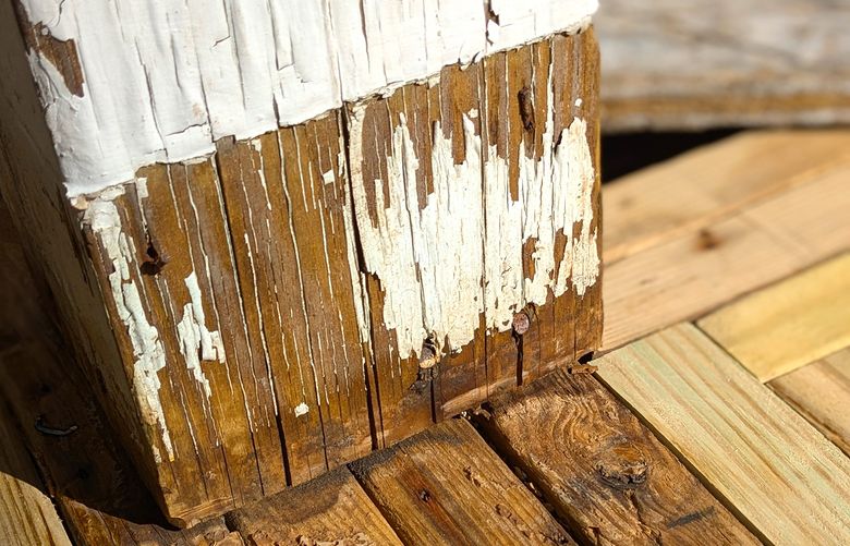 The paint failure at the bottom of this wood post can be traced to the hidden cut edge that is sitting on the treated lumber. The odds are the cut edge is bare wood. (Tim Carter/Tribune Content Agency)