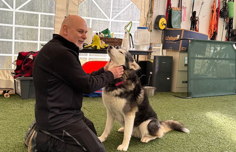 Trainer Garry MacDonald interacts with Jason Momoa, the Akita-Chow Chow mix. (Al Kemp / Special to Giving Guide)